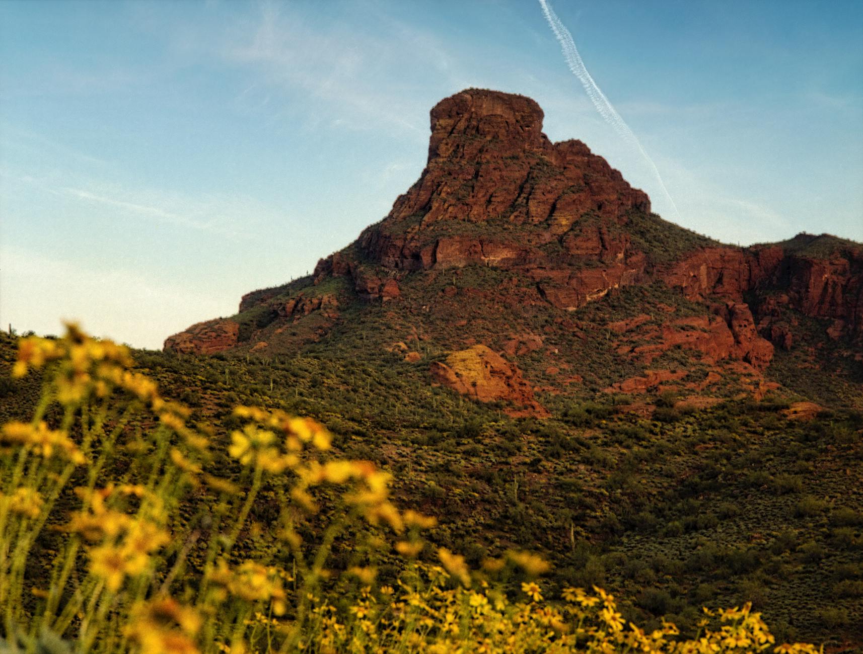 Beautiful landscape view of Red Mountain with desert vegetation in Arizona, USA.